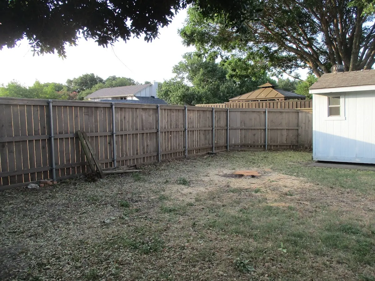 Cleared yard after professional tree removal in West Harwich